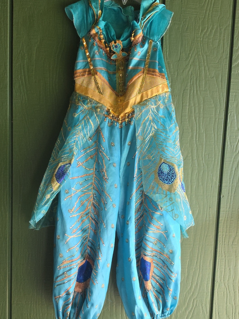 Disney Jasmine Peacock-Inspired Costume